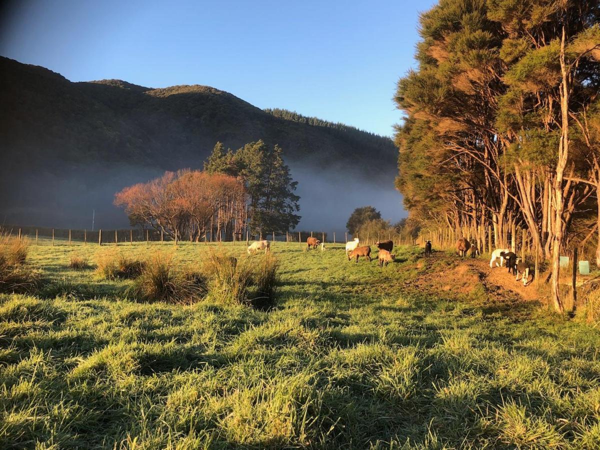 Narrow Neck Creek Farmstay And B&B Ъпър Хът Екстериор снимка