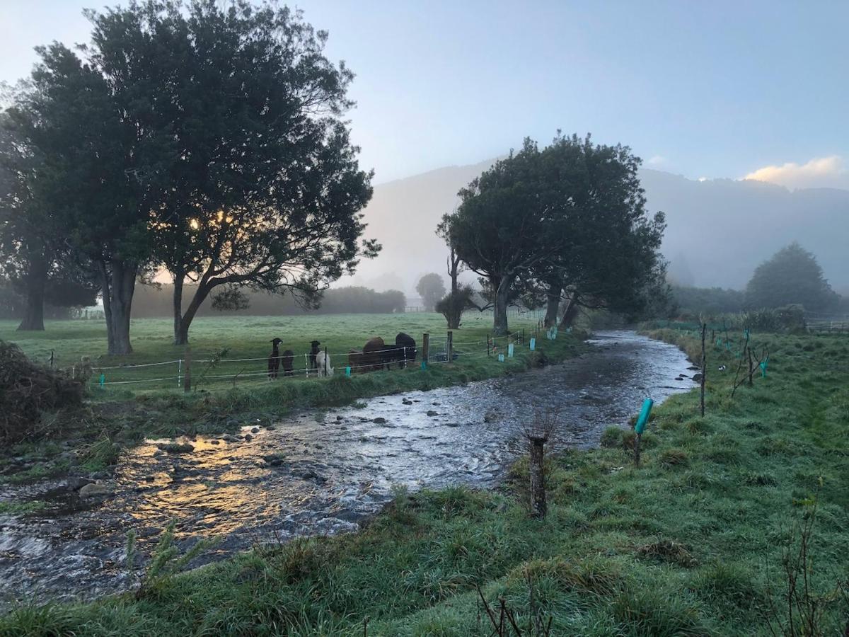 Narrow Neck Creek Farmstay And B&B Ъпър Хът Екстериор снимка