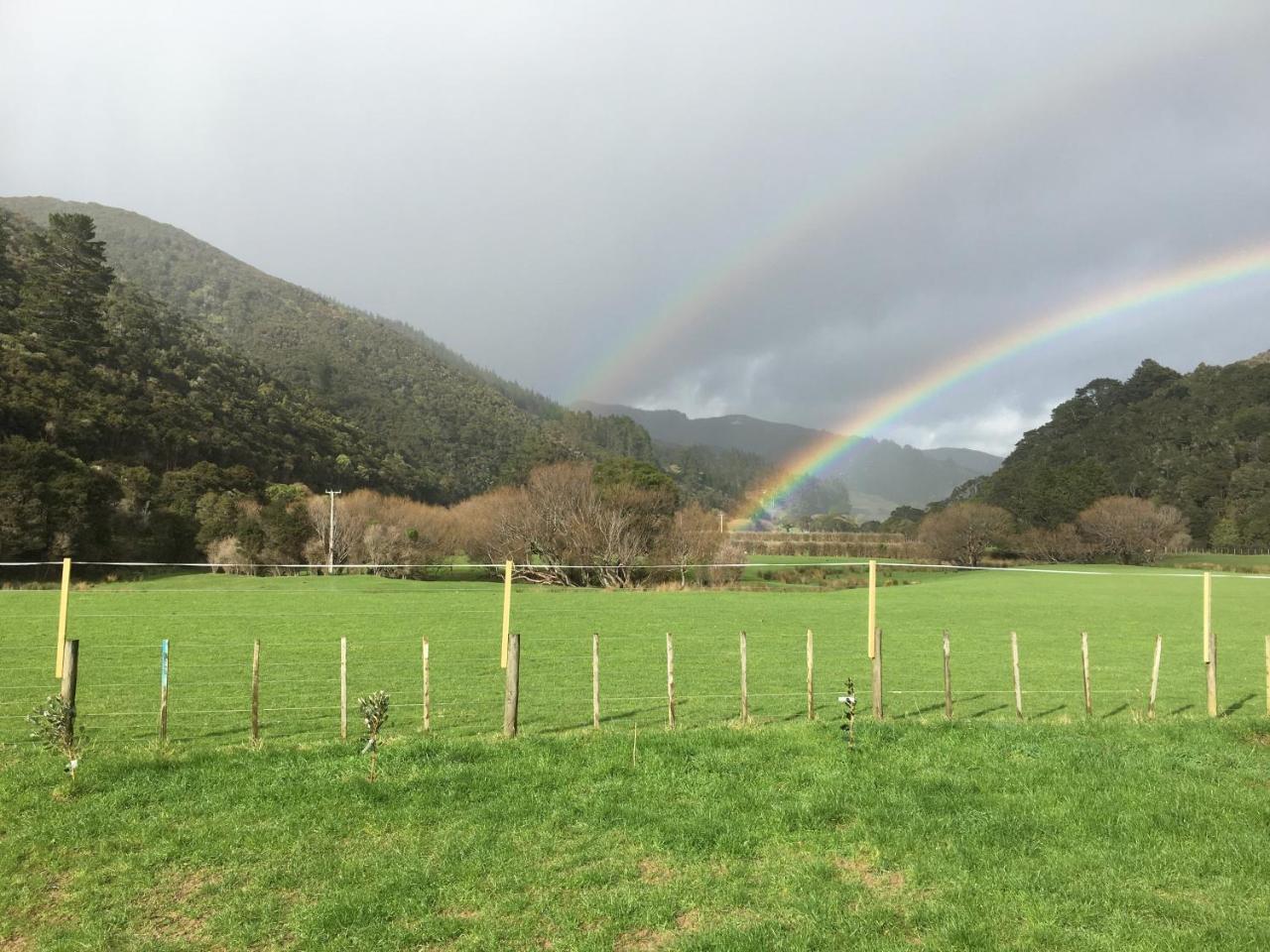 Narrow Neck Creek Farmstay And B&B Ъпър Хът Екстериор снимка